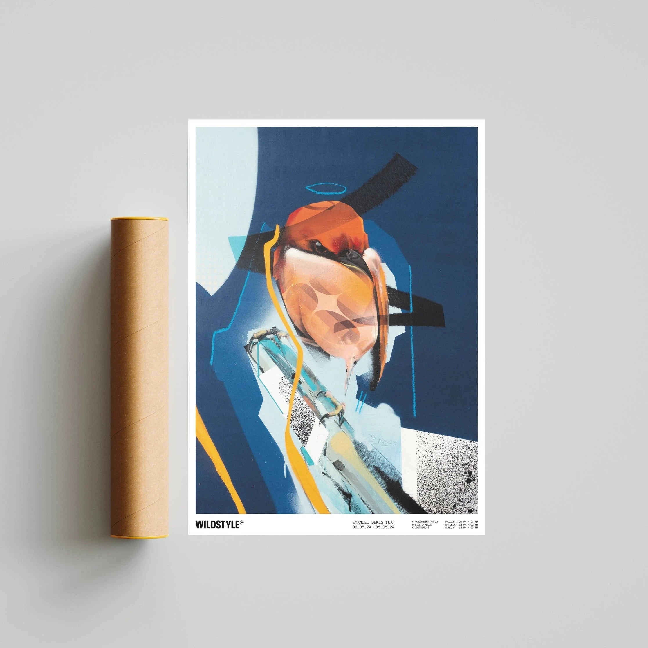Fringilla Rosticolus Albigula - Poster